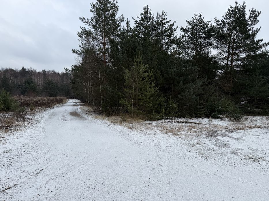 Sprzedam działkę Rydzynki/Tuszyn/Zofiowka