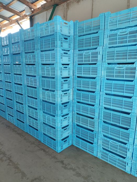 Продам пластиковые ящики Ряба, малые и большие