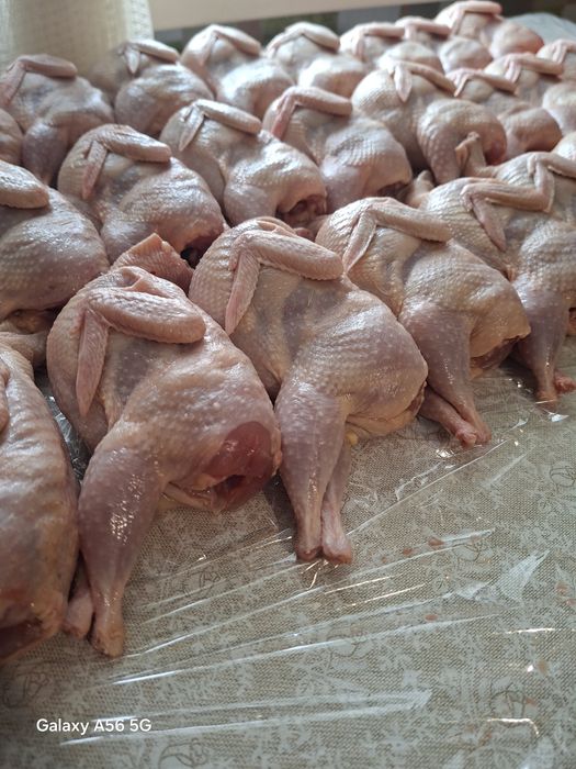 Продаж охолодженої перепілки