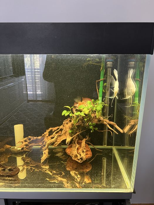 Sprzedam akwarium 330l opti