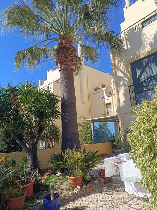 Arrendamento residencial de Moradia independente Faro