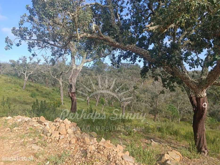 Terreno Rustico São Francisco da Serra