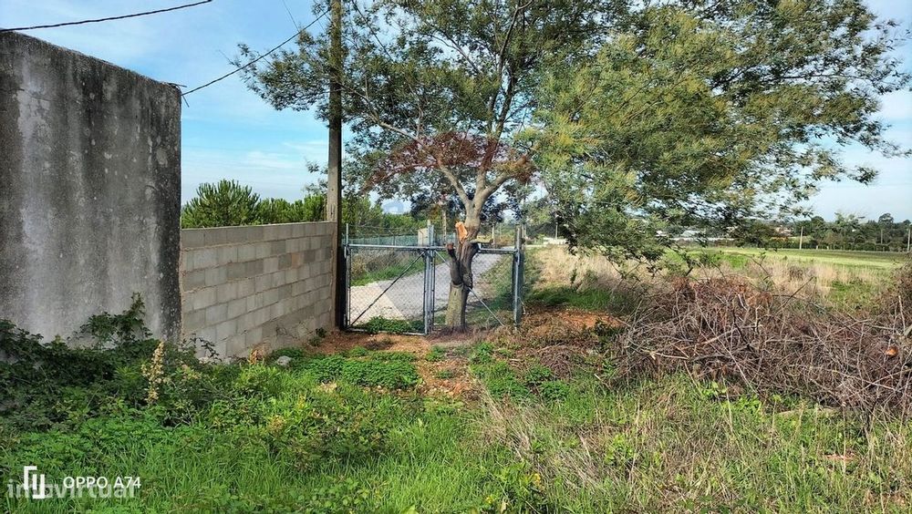 Terreno  para venda