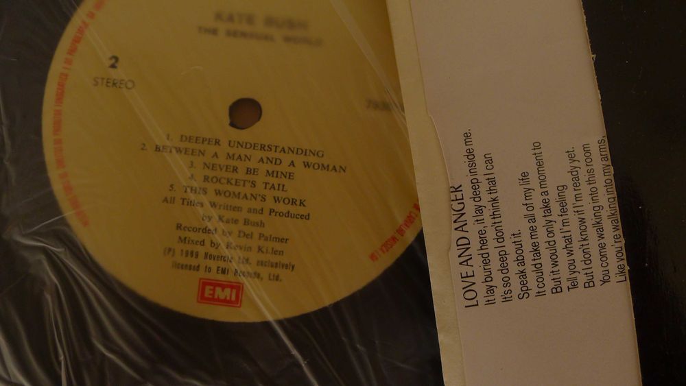 Vinil The Sensual World - Kate Bush