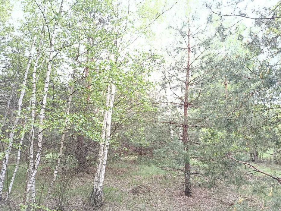 Продам  15-сот під забудову село.Сінгури р-н новобудов