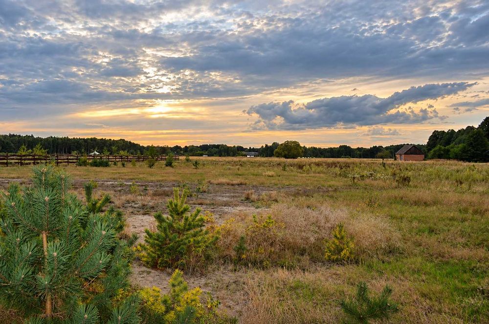 DZIAŁKA rolno- budowlana , WZ- 5267 m² - Widok 4
