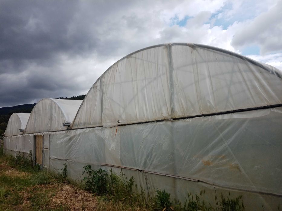 Estufa agrícola usada