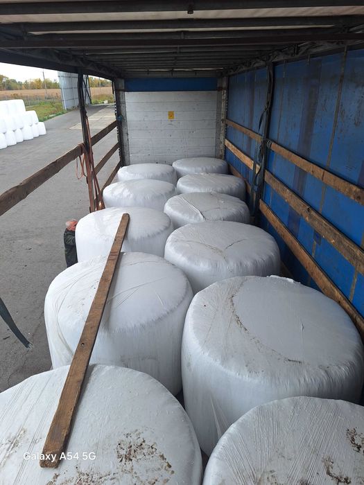 Продам силос у тюках