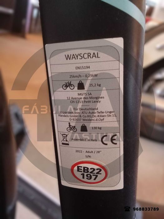 Bicicleta elétrica Wayscral Everyway E-200