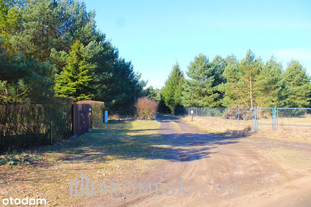 Bednary 1226 m² szybki dojazd do Poznania Malownicza okolica - LAS - Widok 5
