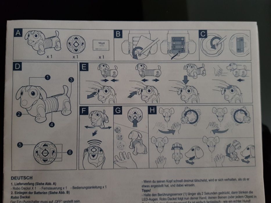 cão robo dackel novo