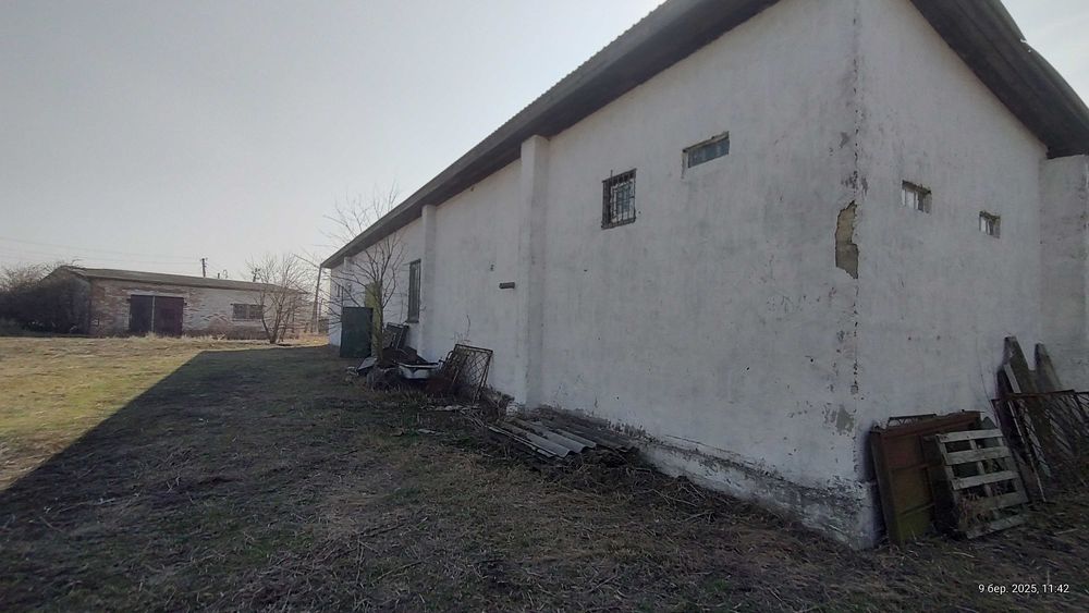 Ферма Свиноферма Скотарство Зерносхови Цех Броварський 600квм 70сот