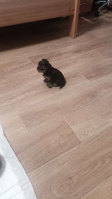 Мега классные детки