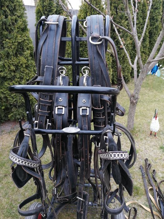 Uprząż na parę koni full