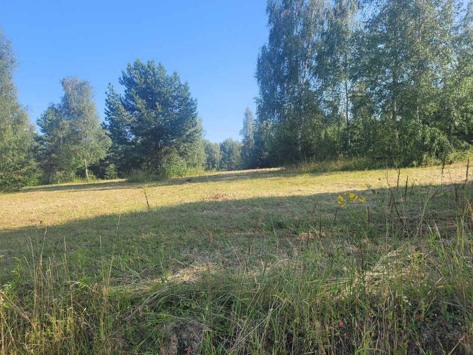 Działka 1,0321 ha z warunkami zabudowy – Natura 2000 - Widok 5