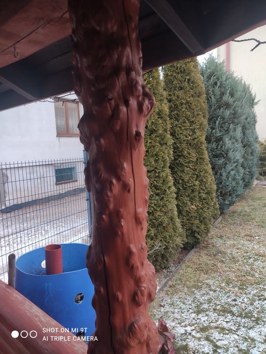 Prace ogrodowe, ogrodnik, pielęgnacja ogrodów, przycinanie thuji, prac