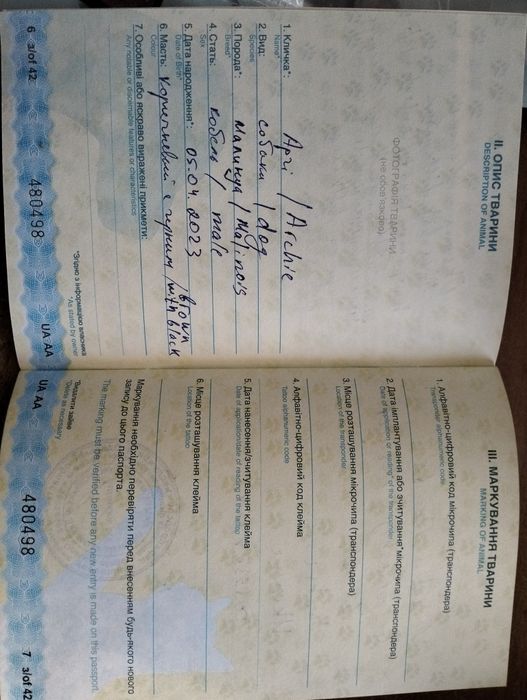 Шукаємо дівчинку для хлопчика