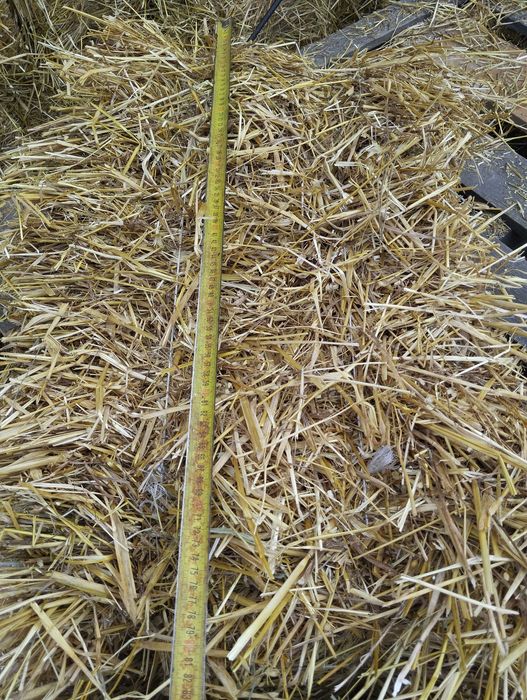 Słoma słoma w kostkach