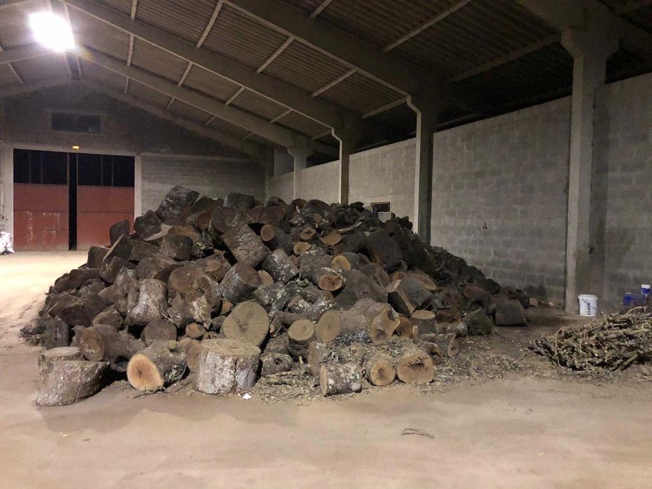 Lenha, madeira Azinho Sobro Oliveira Pinho Eucalipto