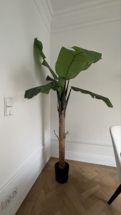 Duża palma dekoracyjna 190 cm – FLORA POINT