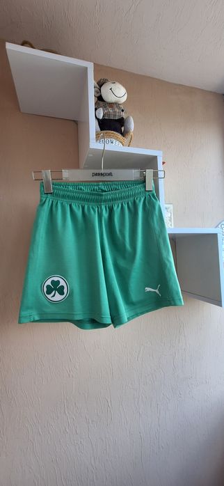 Детские шорты puma