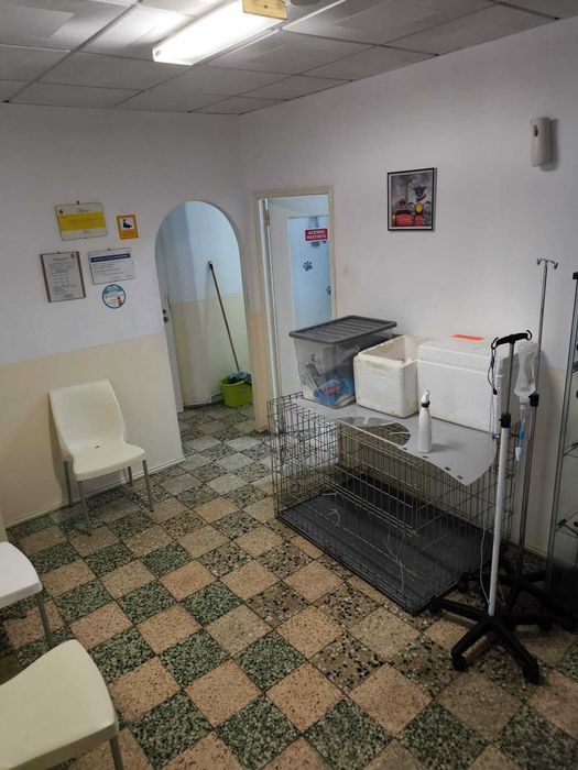 Trespasse Consultório Veterinário em Figueira de Castelo Rodrigo