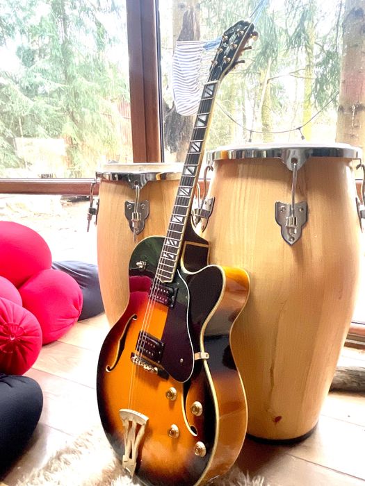 Gitara hollow body Washburn j6 Wes Montgomery korea 2003.