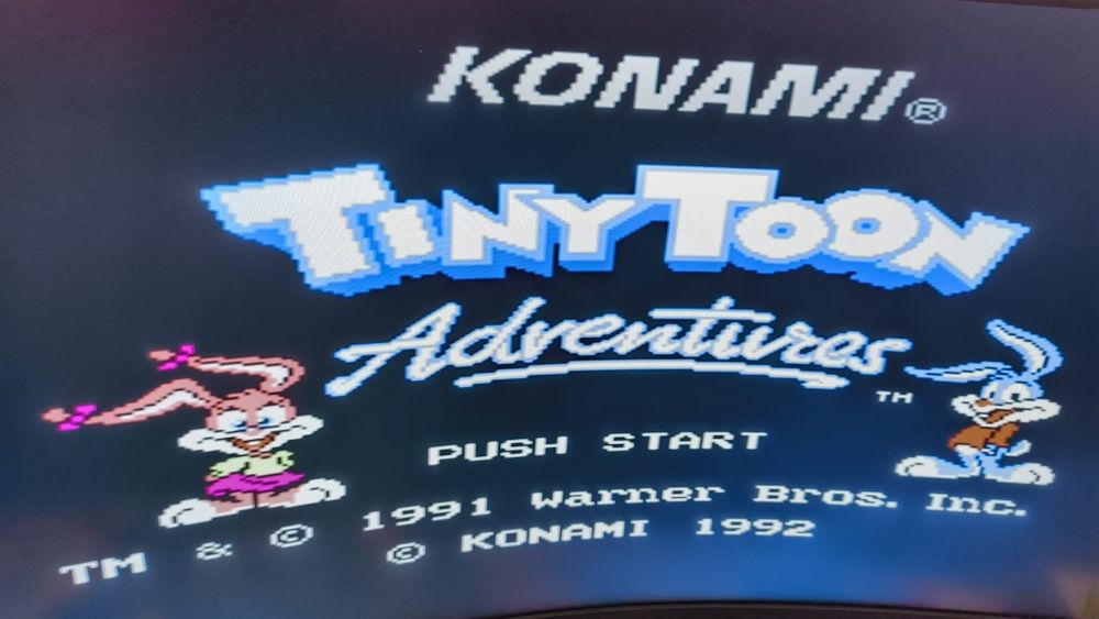 Jogo TinyToon Adventures - NES