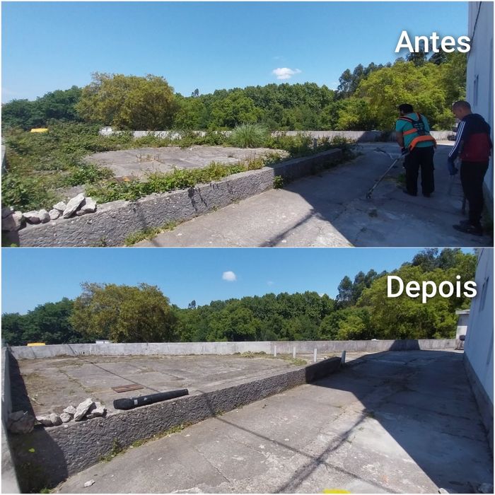 Limpeza de terrenos