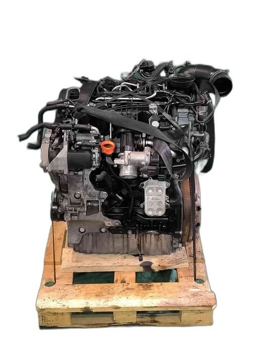 Motor Completo VW CADDY III Veículo multiuso 1.6 TDI (75 kW / 102 cv) [08.2010 - 05.2015] CAY (OEM)