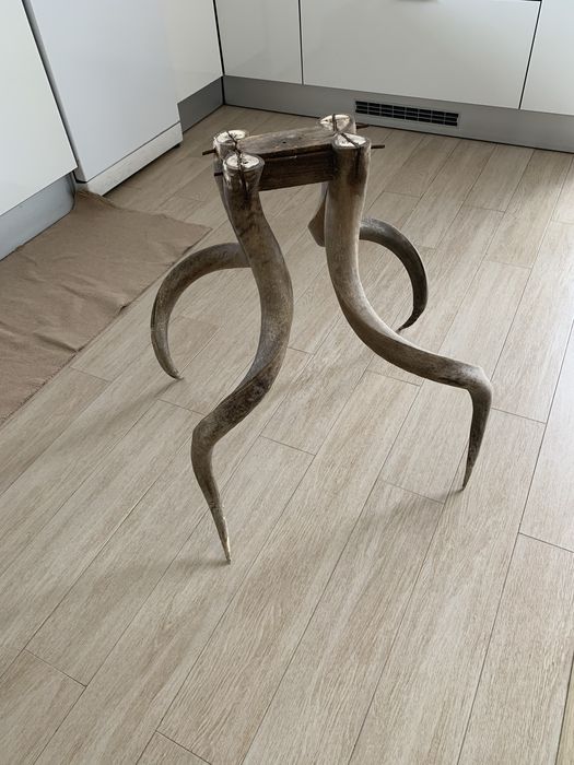 Pés para mesa em chifre verdadeiro
