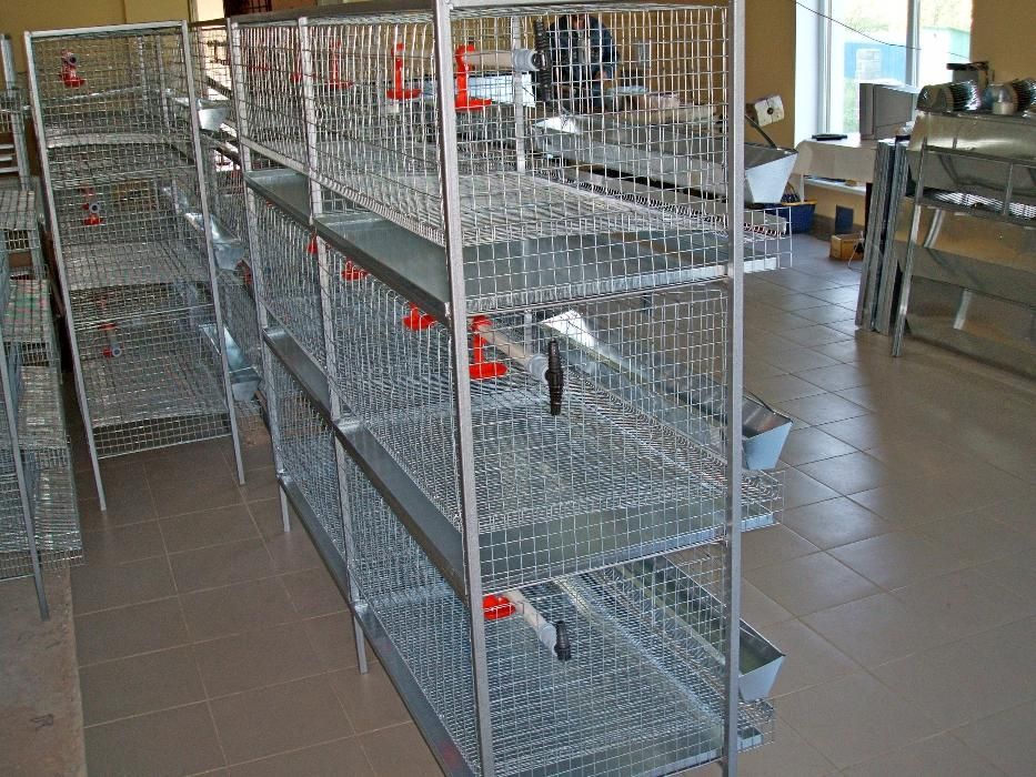 Клітка для курей