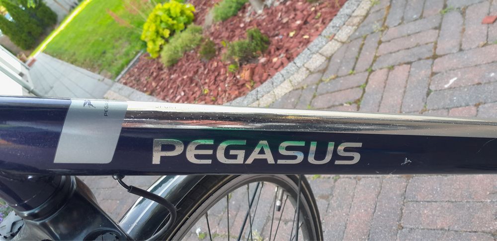 Pegasus Piazza - rower męski