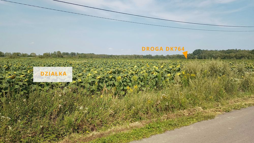 Atrakcyjna działka budowlana 55,64 ar, WZ na 4 domy, Kliszów k. Mielca