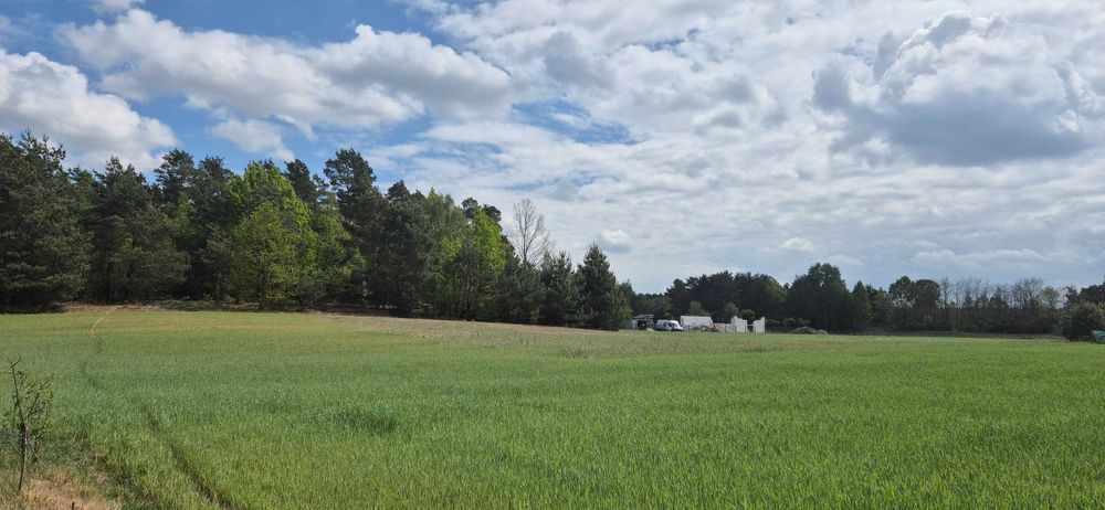 Działka budowlana 1330m2 Stary Witoszyn