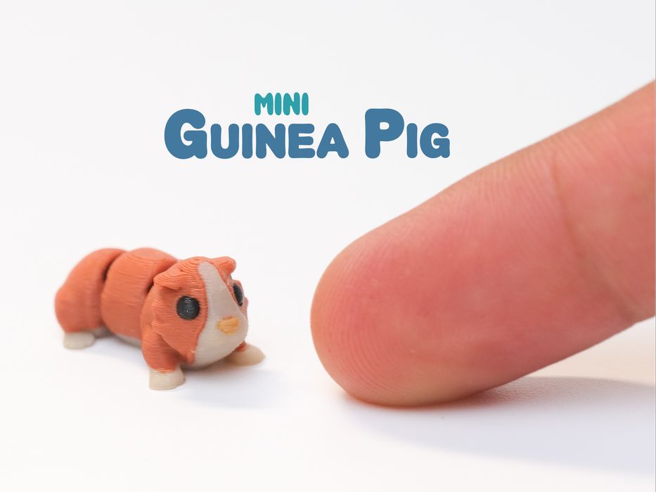 Mini porco de Guiné