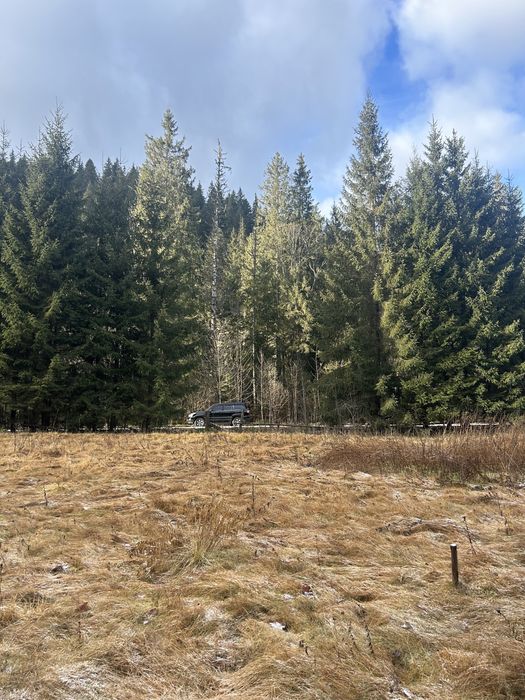 Остання ділянка біля Говерли | 10 соток