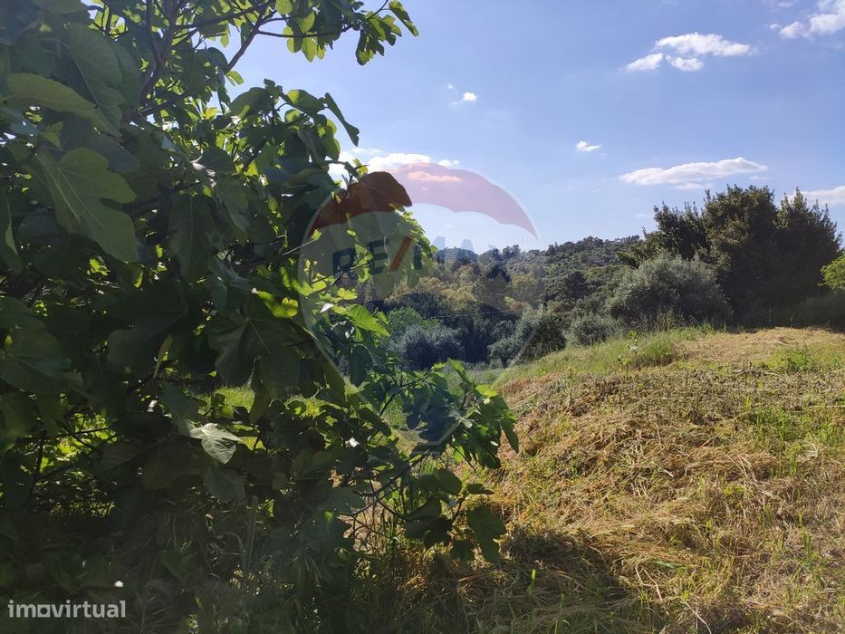 Terreno  para venda — Serra E Junceira, Santarém