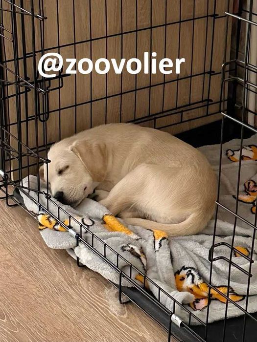 Будка клетка вольер дом место манеж клітка для собак кошек птиц‼️