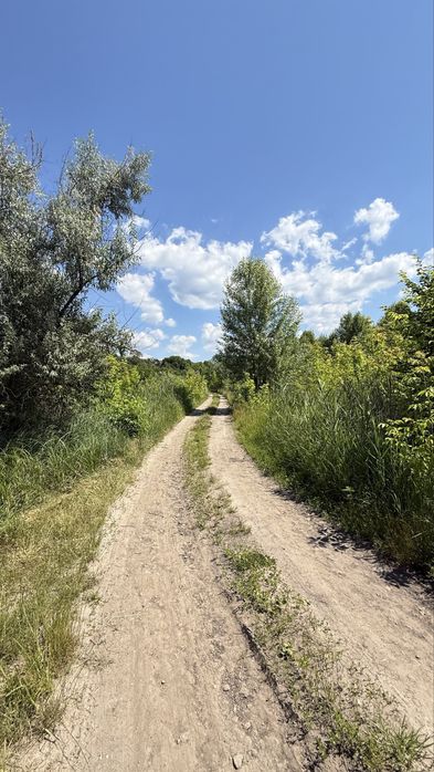 Продаж ділянки 1 + га , р. Дніпро, с. Балико Щучинка, Обухівський район