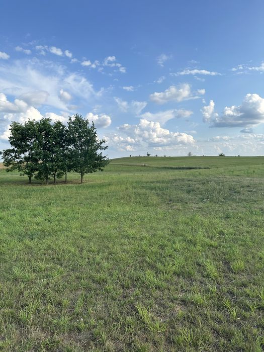 Działki budowlane Brajniki/Warchały