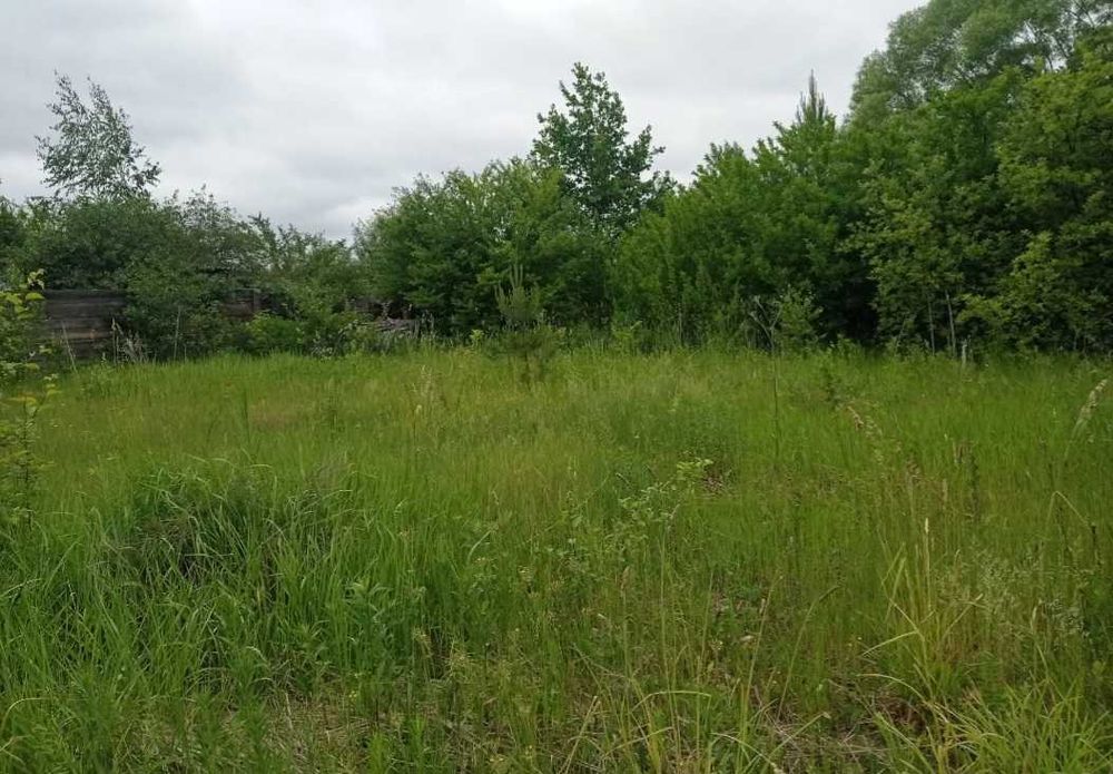 № 11819 - Дача, Барашевський масив, 2-эт.