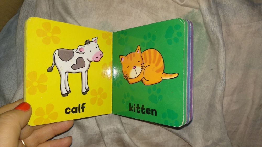 детская книга на английском цветная дети животных Animal babies