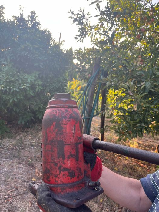 Prensa Vinho Hidraulica