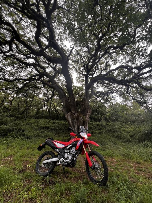 Crf300l honda 2025 EXTRAS