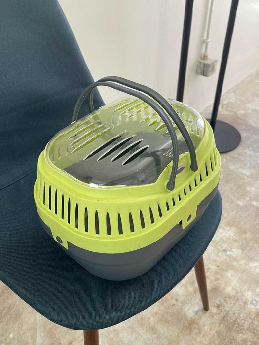 Cesto para transportar coelhos e gatinhos