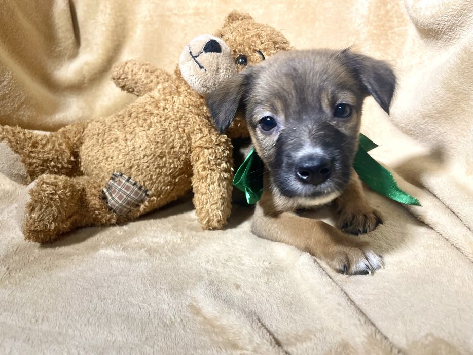 Чудо хлопчик чекає на тебе