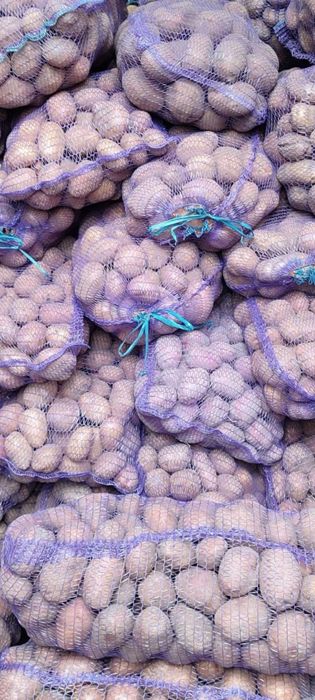 Доставка опт дешевше картоплю велику