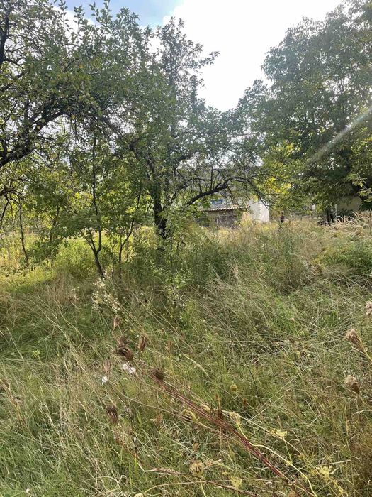 Будинок садиба біля лісу