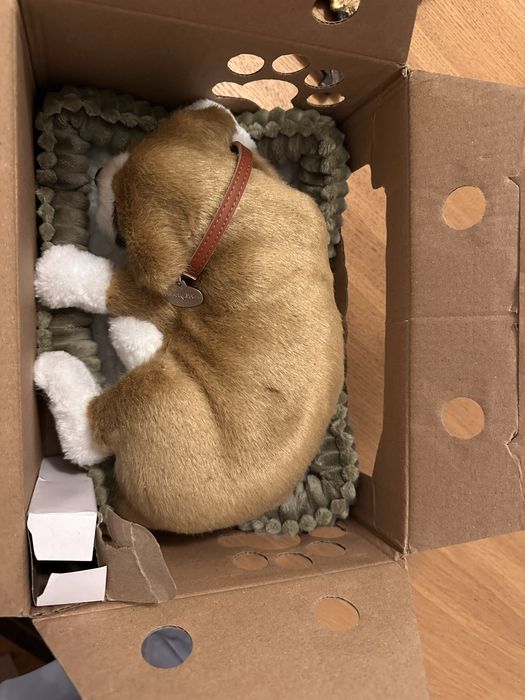 Perfect Petzzz  boxer